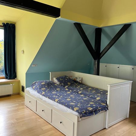 Dom Z Ogrodem Blisko Centrum 波兹南 外观 照片